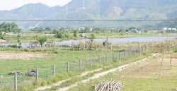 Đà Nẵng: Kiến nghị chưa cho phép phân lô, tách thửa trên đất nông nghiệp