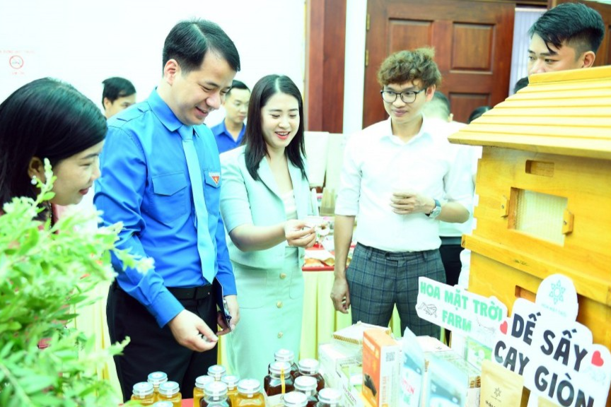 Trung ương Đoàn sẽ tổ chức nhiều hoạt động hỗ trợ thanh niên khởi nghiệp 