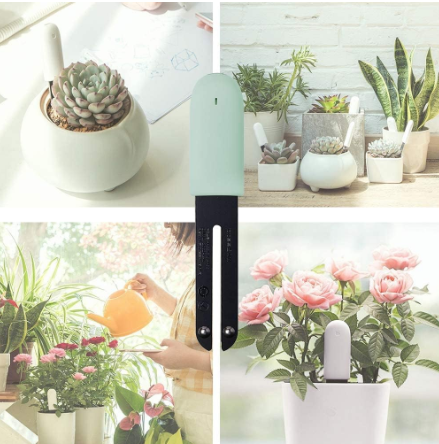 Sinh viên biến ý tưởng “điên rồ” thành sản phẩm